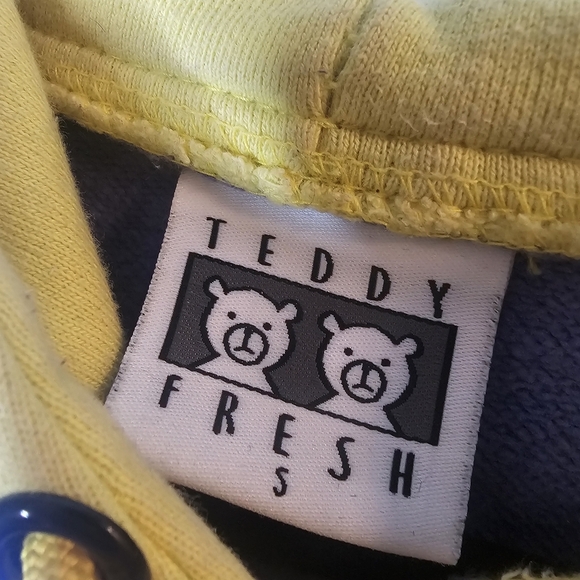 Teddy Fresh 100% Cotton Color Block Unisex Hoodie Size S Small‎ Heavy Duty - Picture 5 of 14